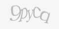 Захисний код